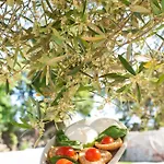 Patrizia-luxury Holiday home Mottola